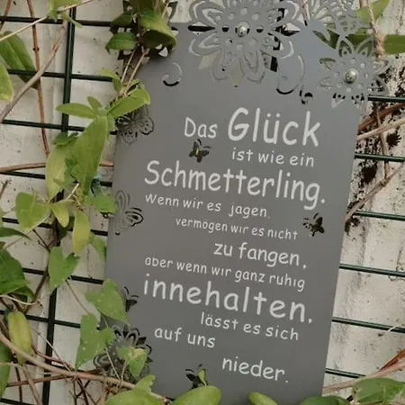 Ferienwohnung Schog Todtnau Exterior foto