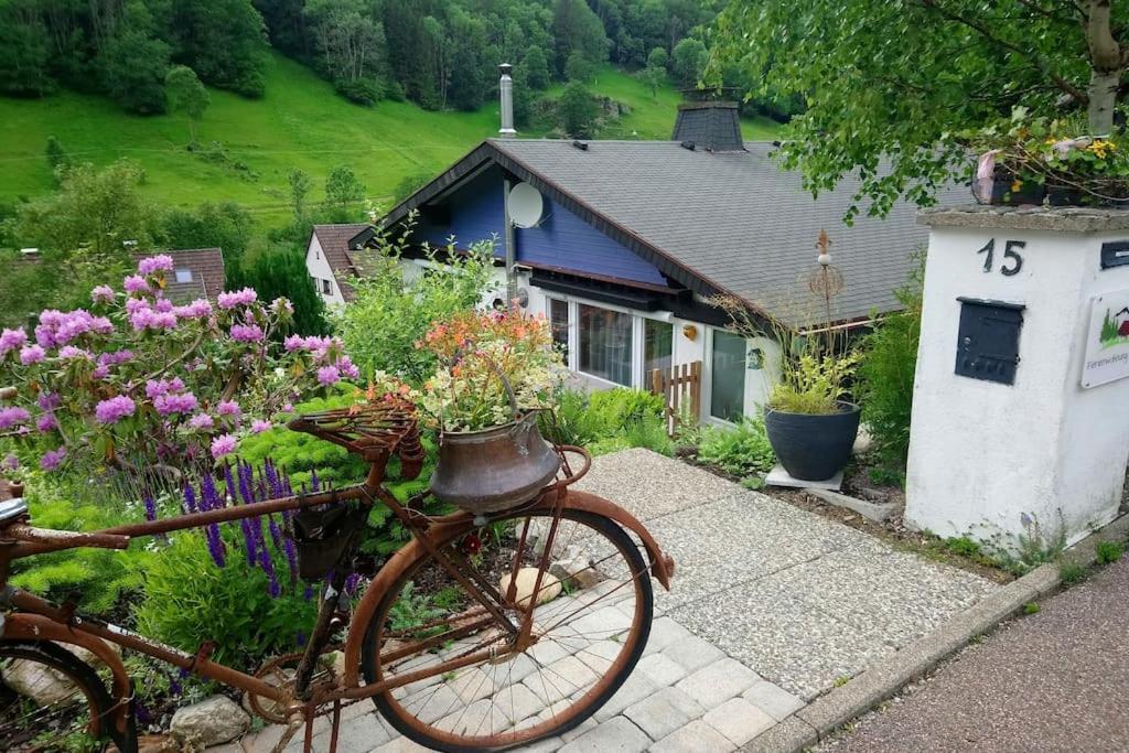 Appartement Schog