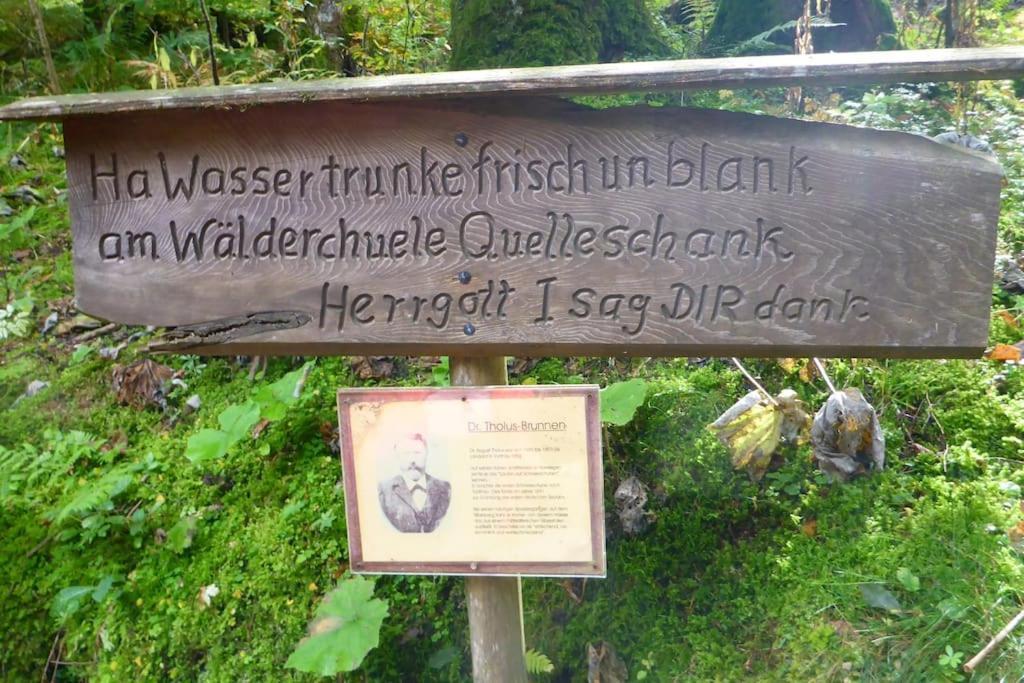 Schog Todtnau